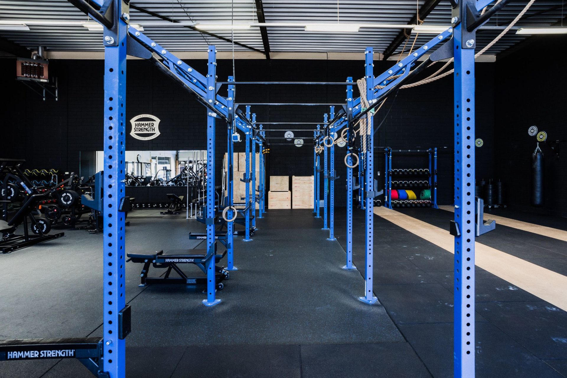 Official Hammer Strength Training Center Fitness Brands