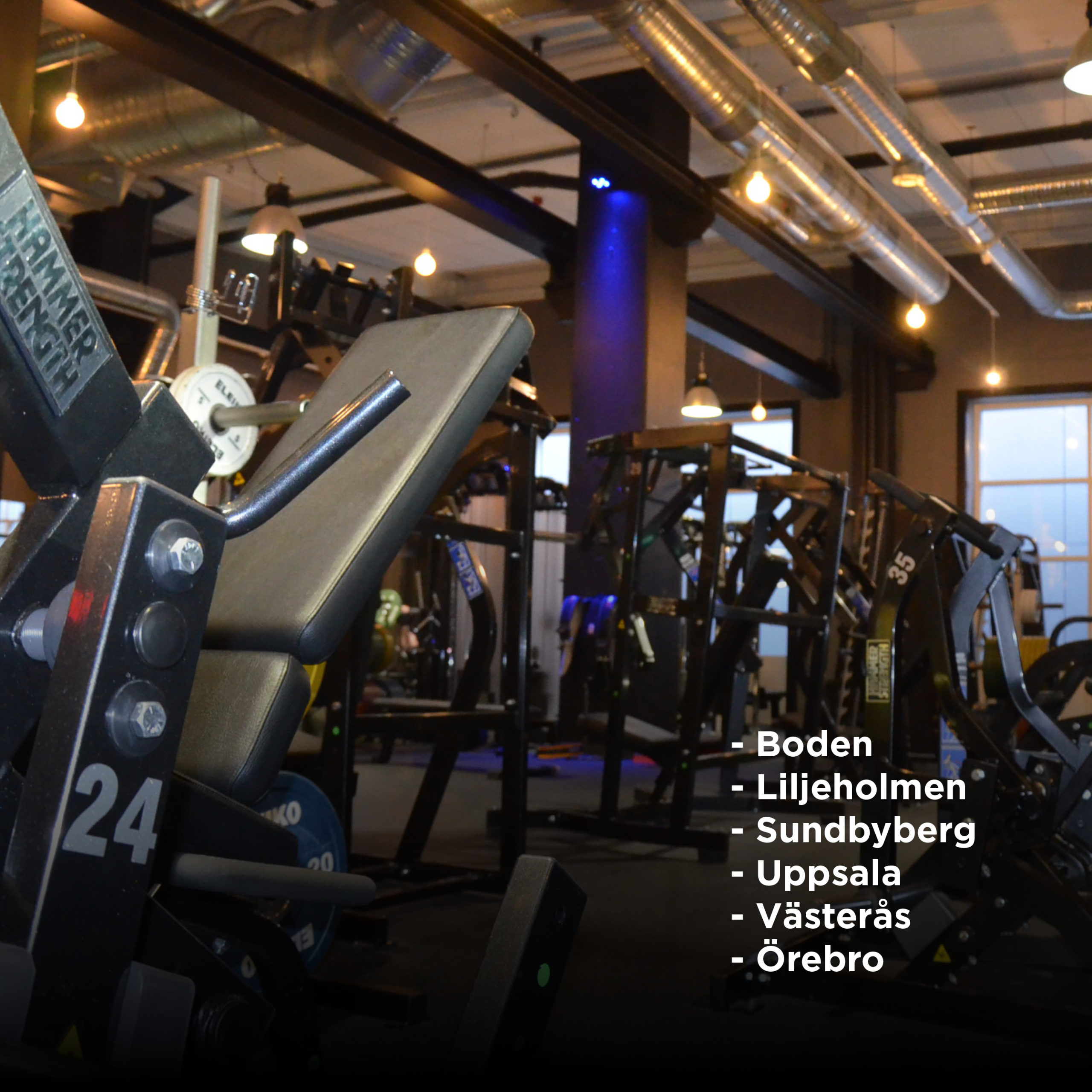 Official Hammer Strength Training Center Fitness Brands