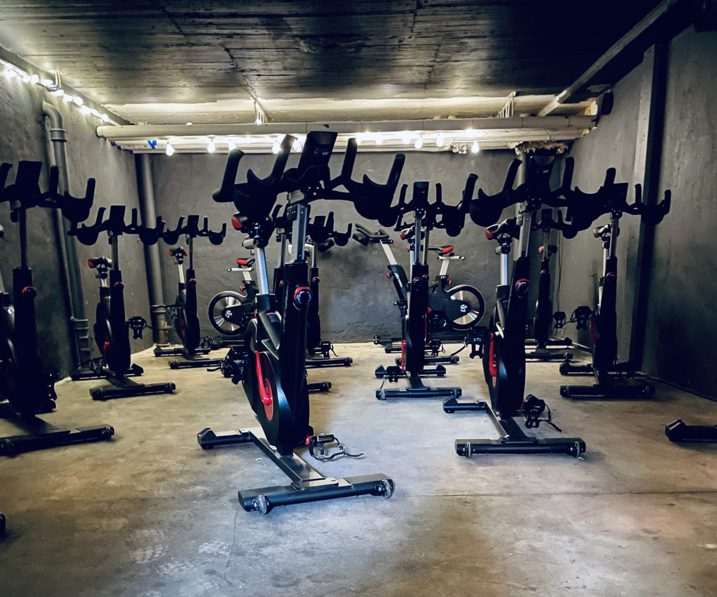 Body & Fitness | Fitness Brands