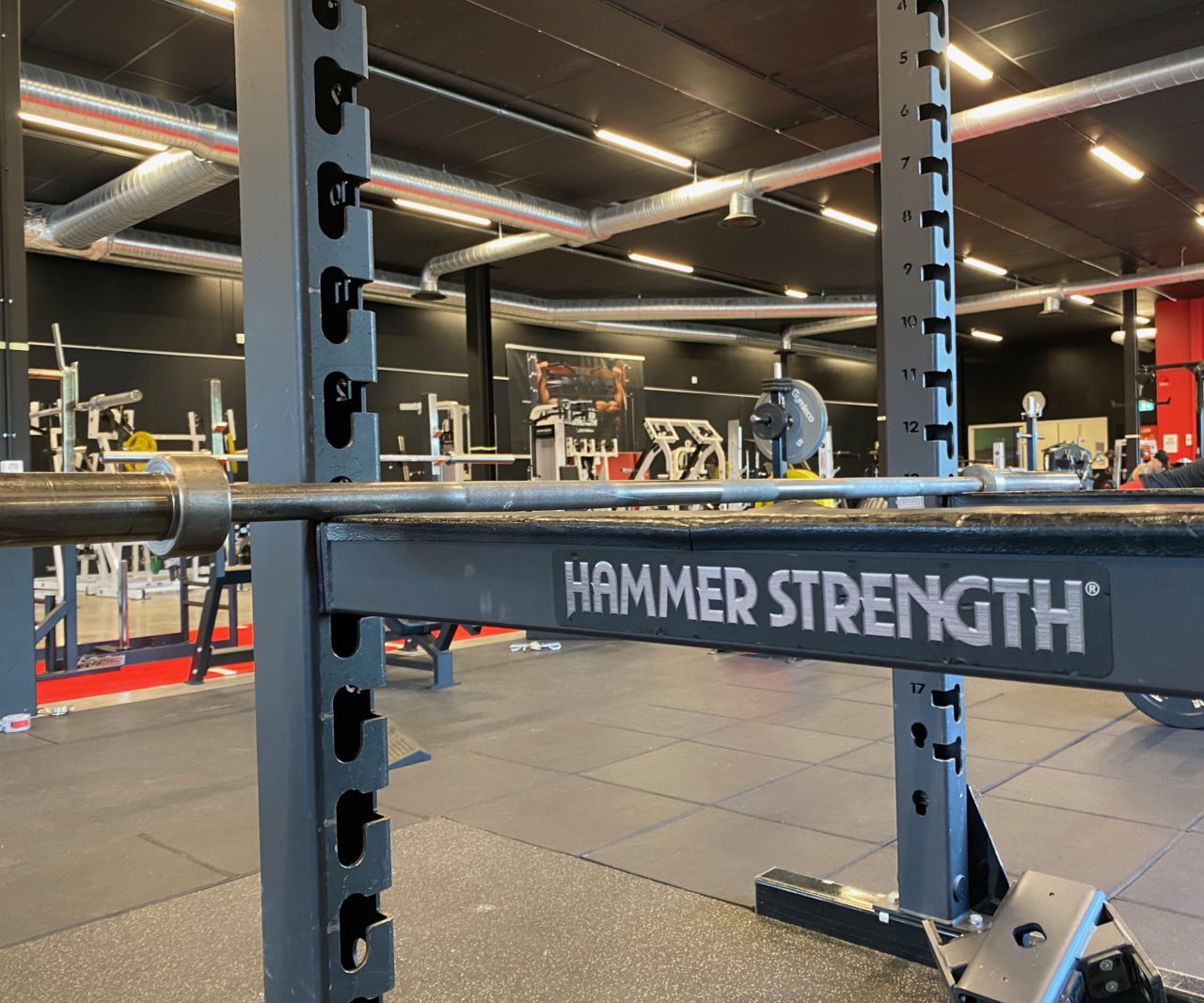Styrkeutrustning från Hammer Strength hos Johannas Powerhouse