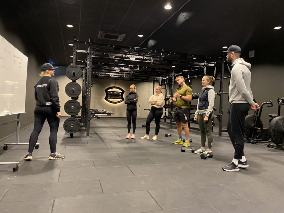 Hammer Strength Box Academy