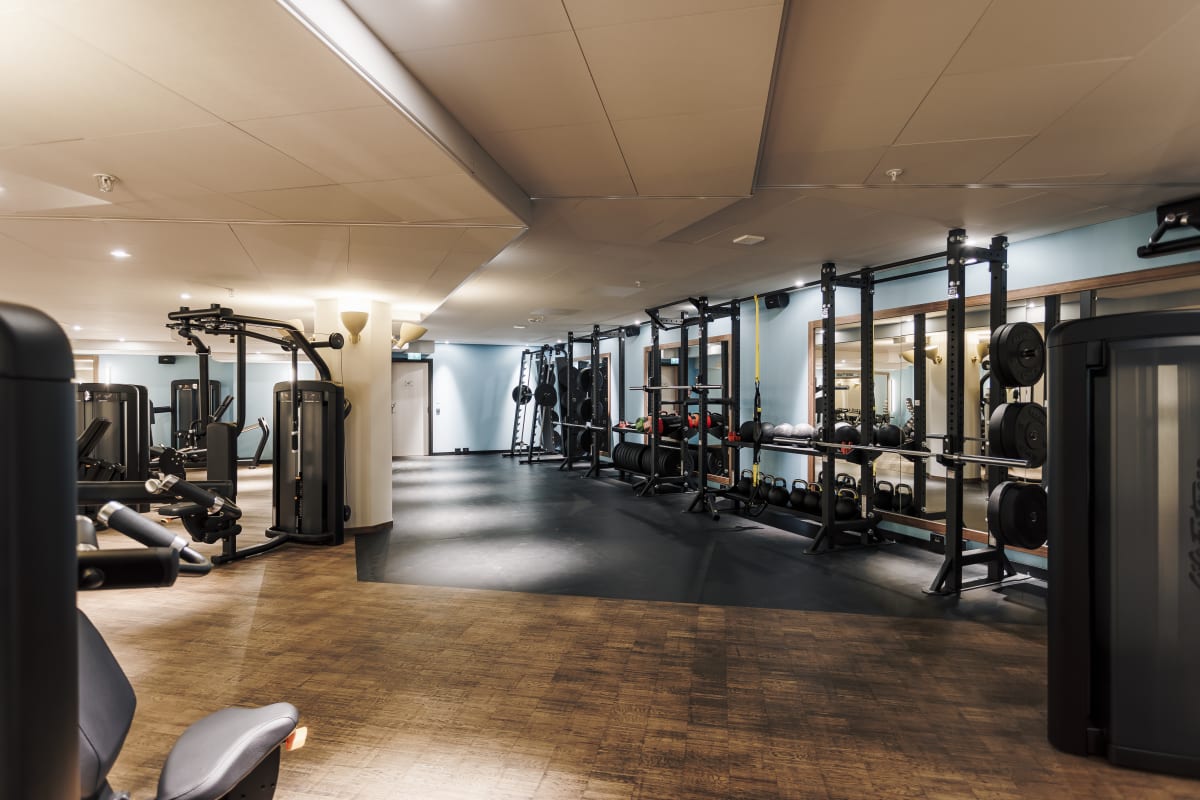 Gymmet på Vana Spa har utrustning från Life Fitness och Hammer Strength.