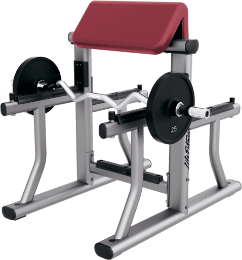 Signature Arm Curl Bench