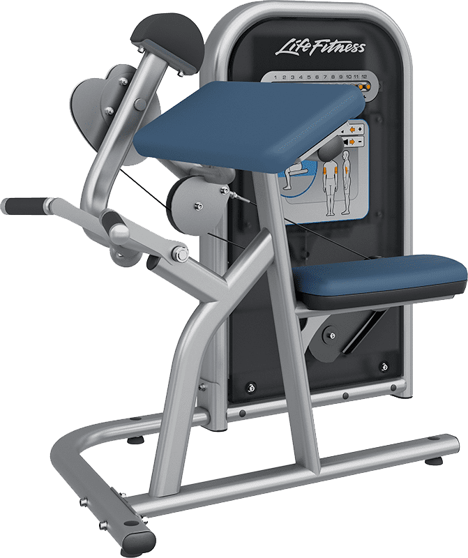 Circuit Biceps Curl