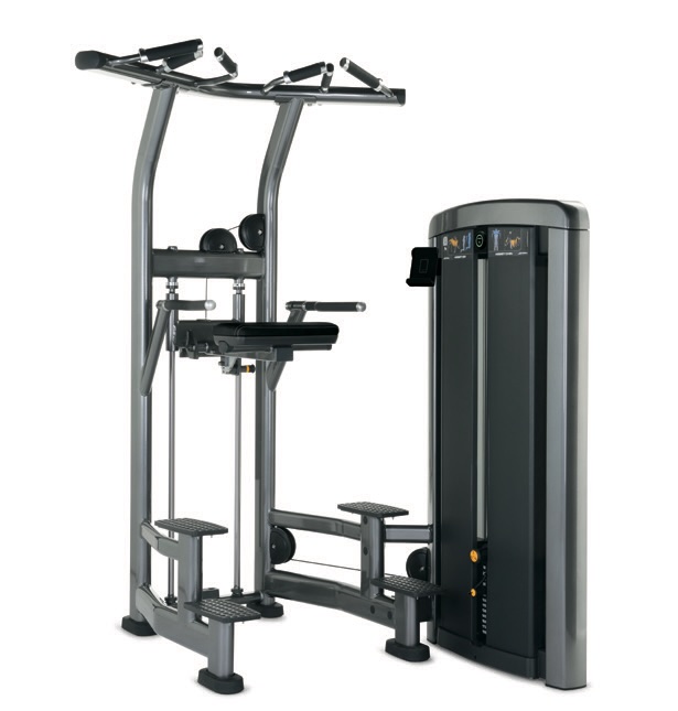 Insignia series Assist Dip  Chin