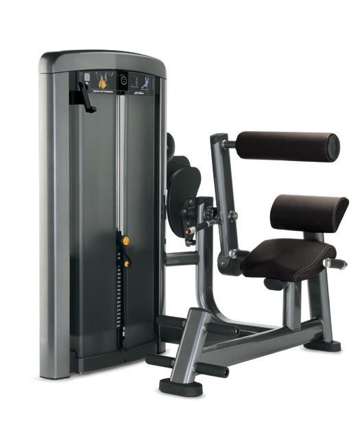 Insignia series Back Extension