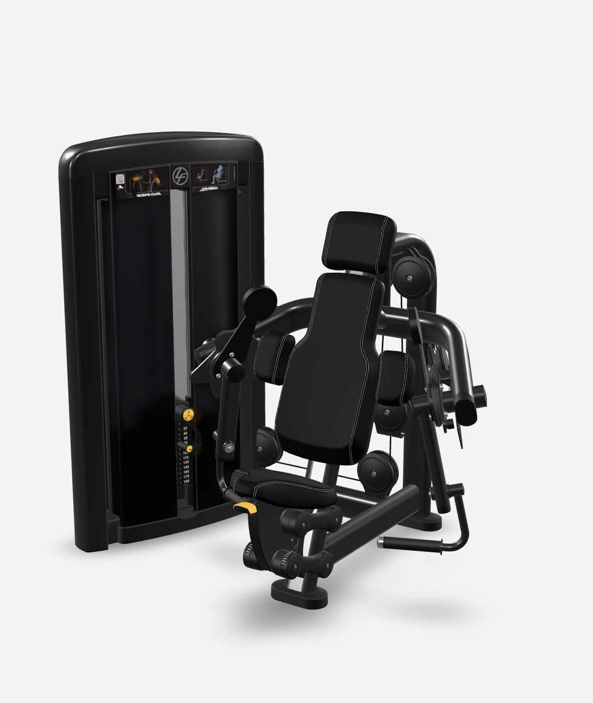 Insignia Series Biceps Curl
