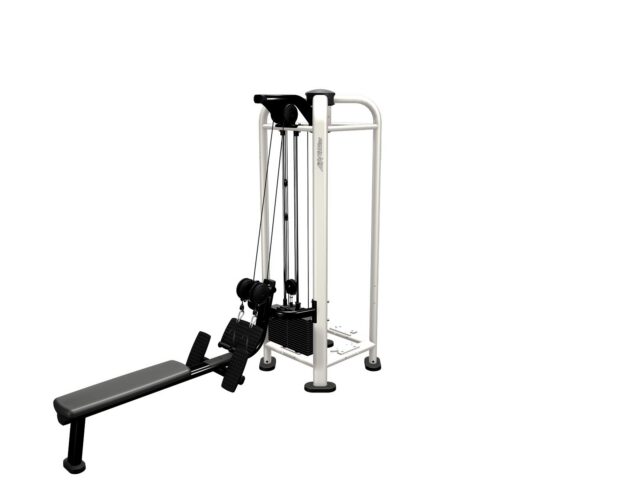 Life Fitness PWR Play Dual Cable Row