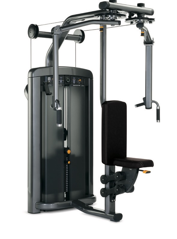 Insignia series Fly/Rear Delt