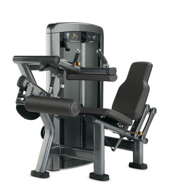 Insignia series Seated Leg Curl