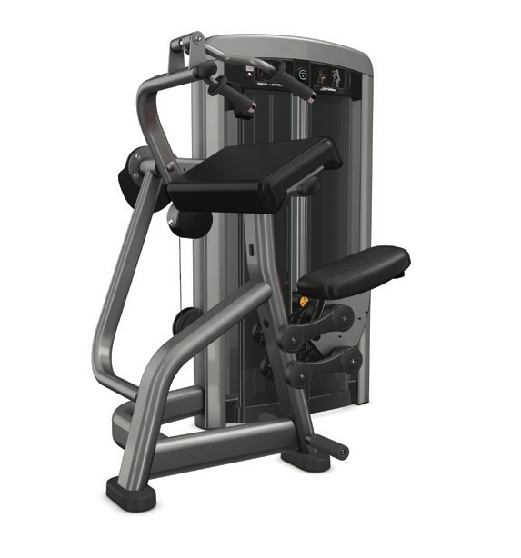 Insignia series Triceps Extension